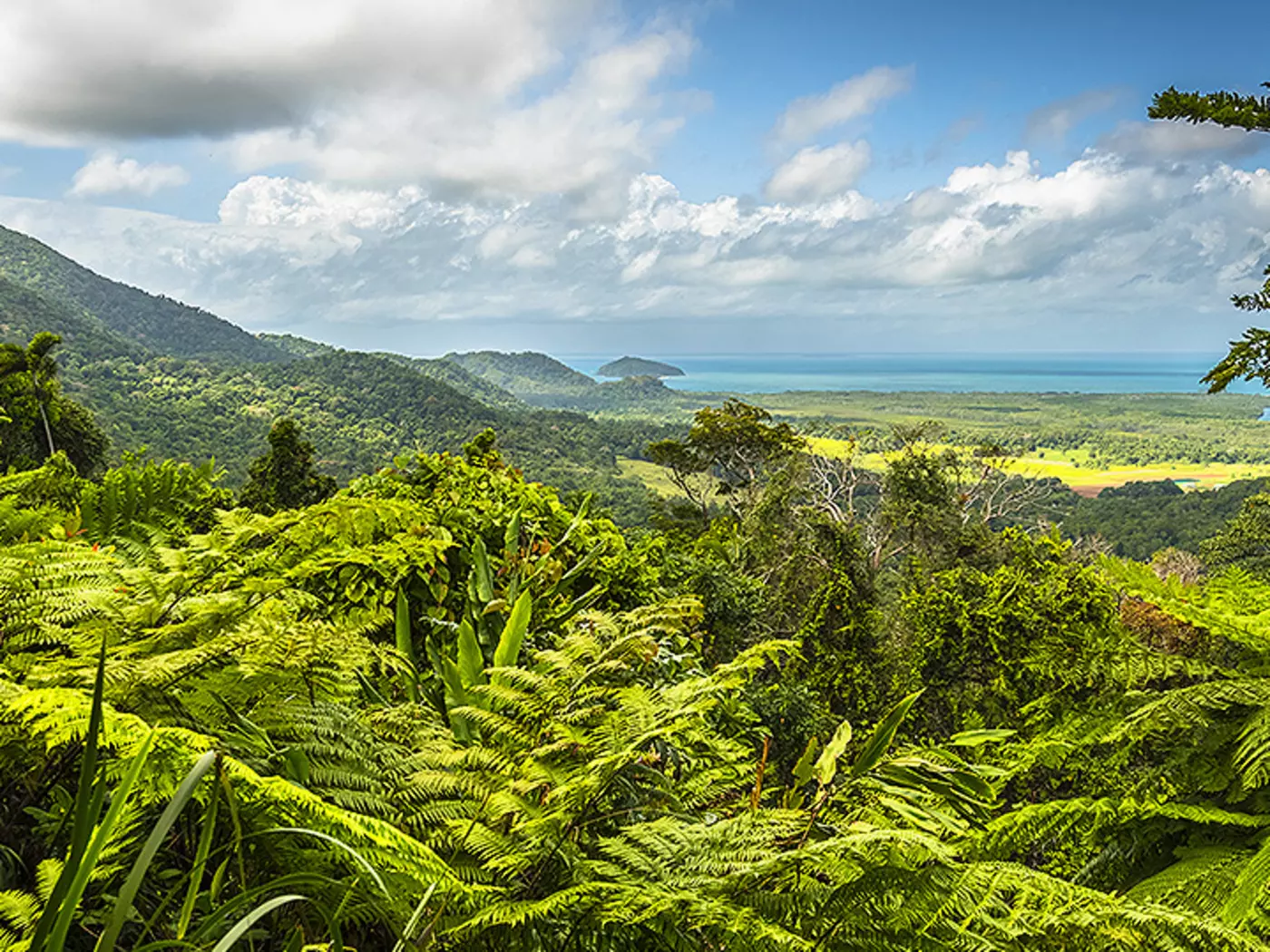 Sir David Attenborough calls the Daintree Rainforest "the most extraordinary place on earth"