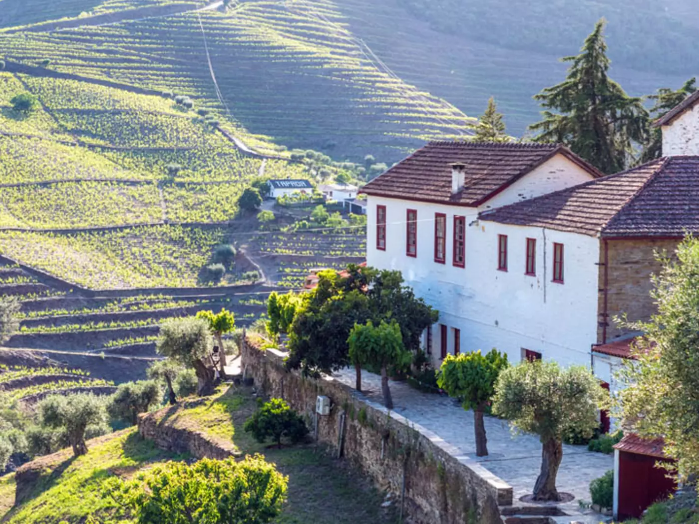 Visit one of the Port Houses in the Douro Valley to sample the regions most famous product