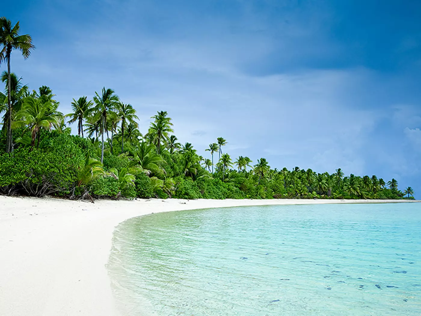Aitutaki's Dream Beach