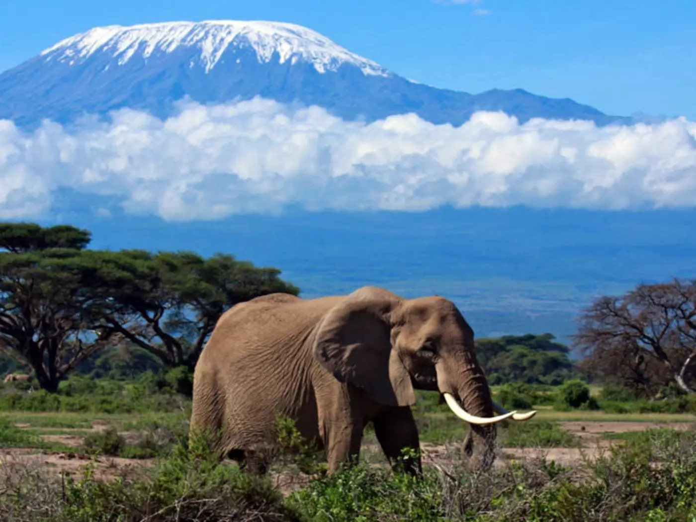 Mount Kilimanjaro