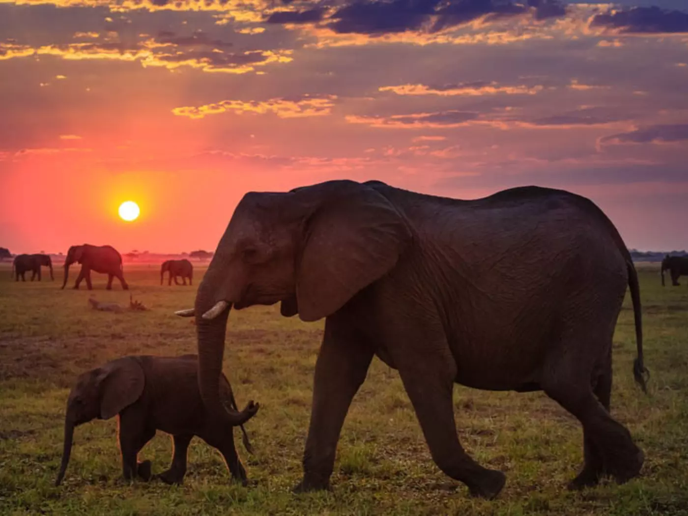 Northern Botswana