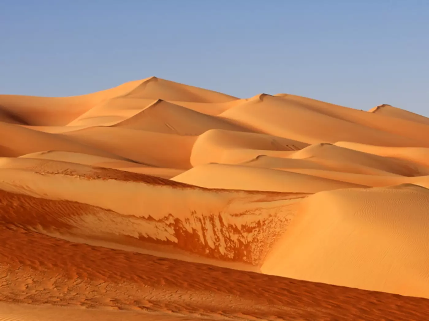 Empty Quarter Dunes