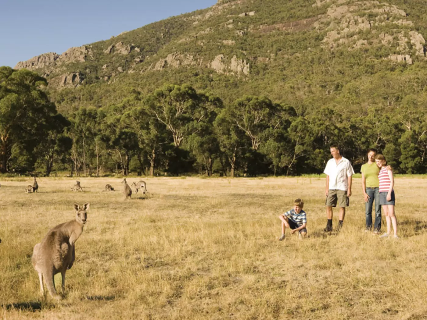 Get up close and personal with wildlife