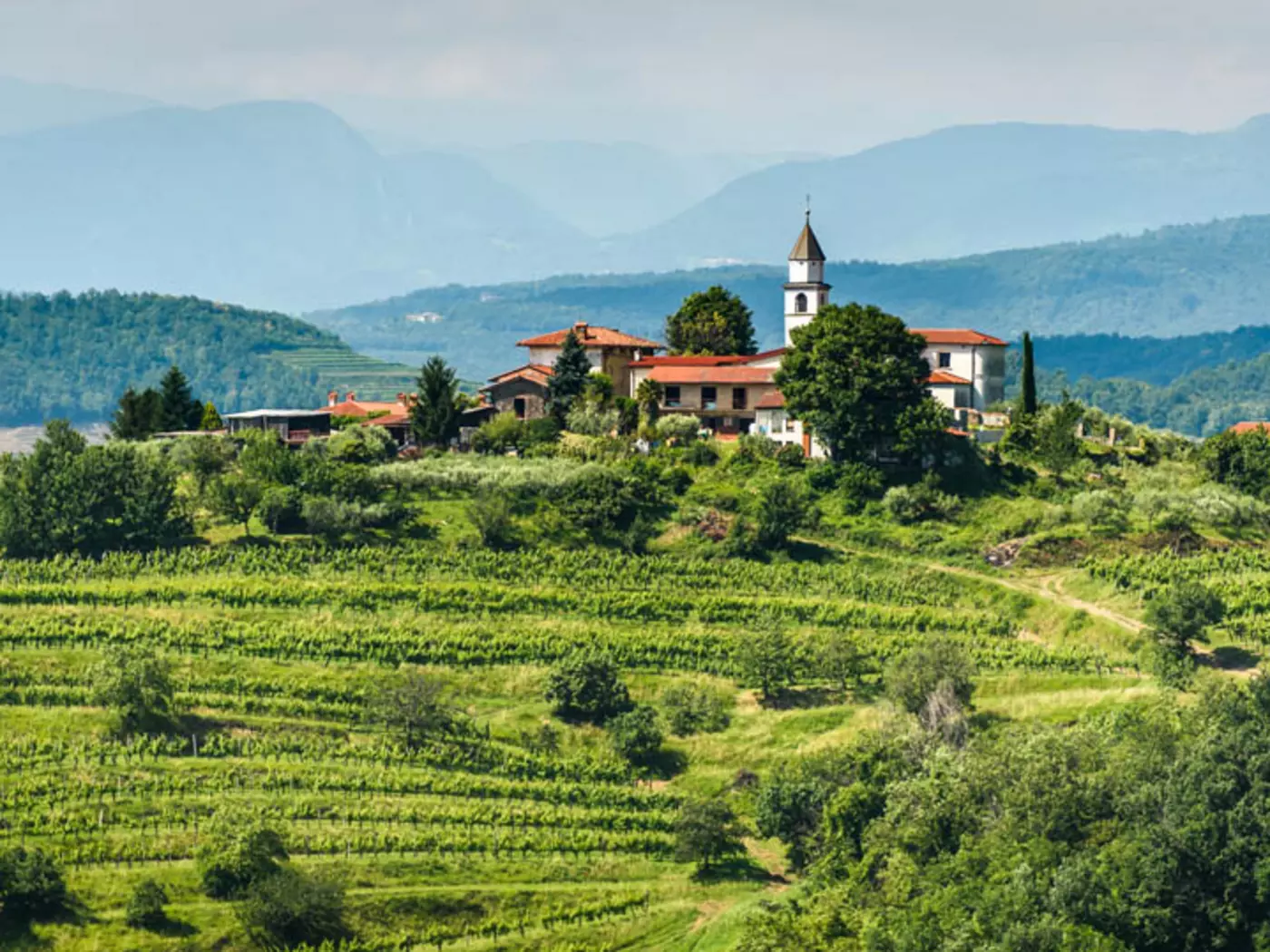 Goriska Brda, the “Tuscany of Slovenia” is the country’s top wine producing region