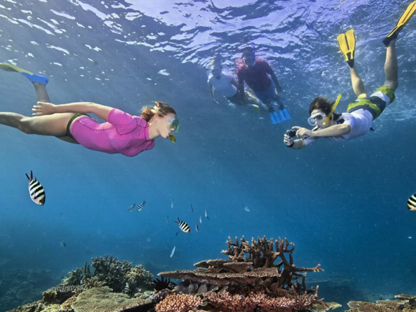 Snorkel the Great Barrier Reef, the largest coral reef system in the world