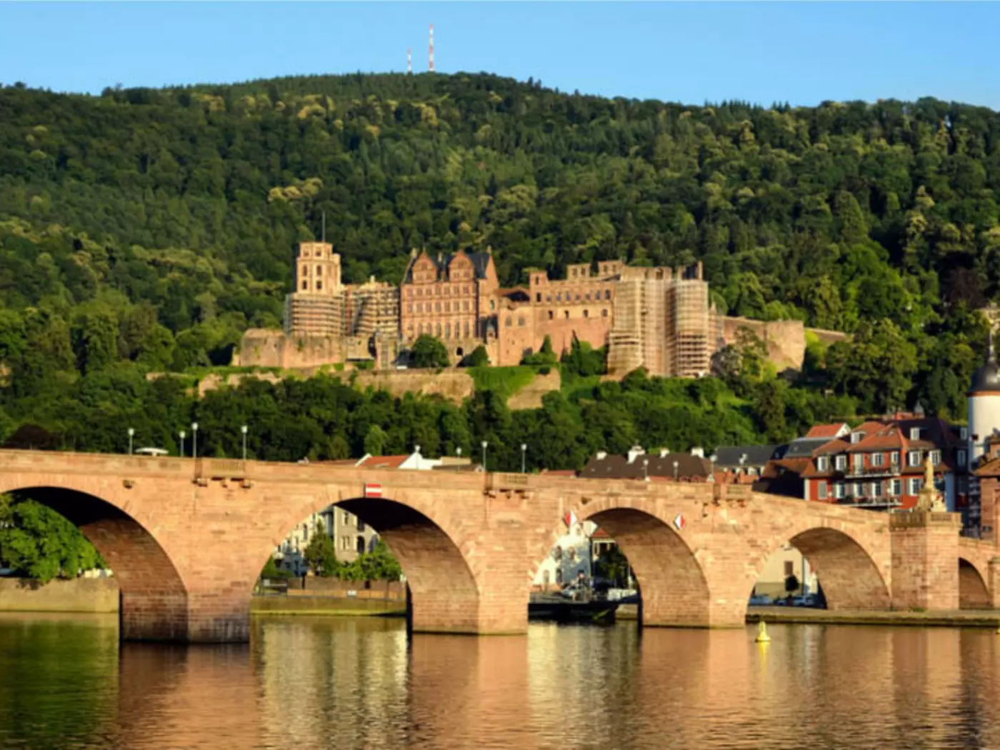 Ruins of Heidelberg Castle