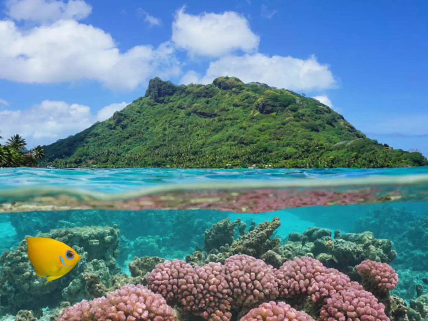 Huahine Huahine