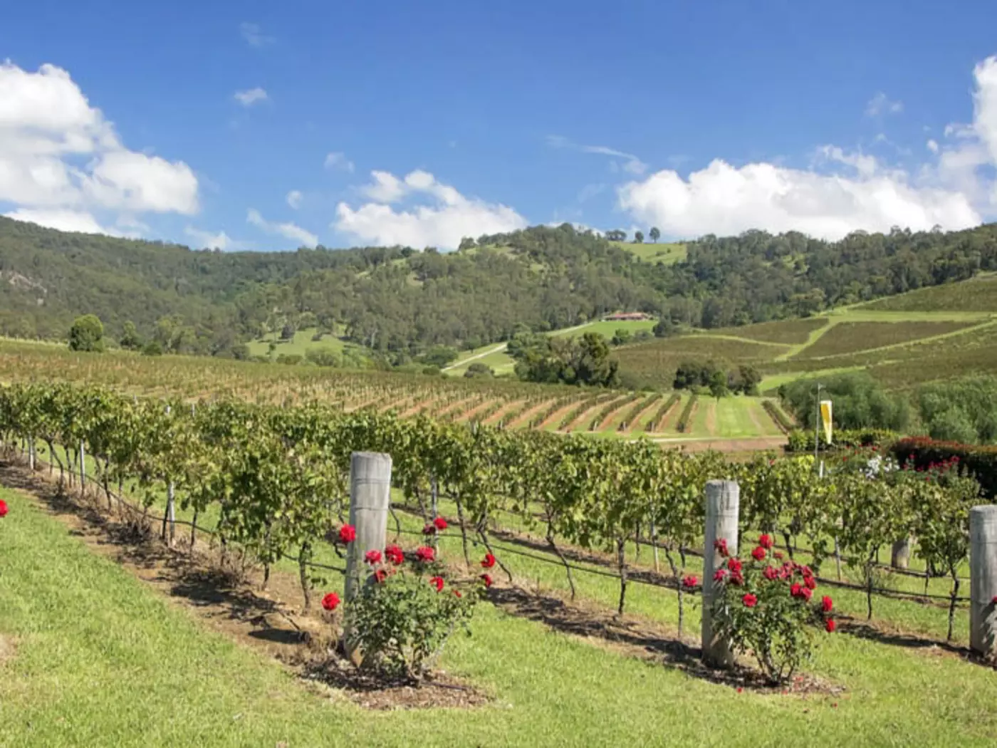 The Hunter Valley