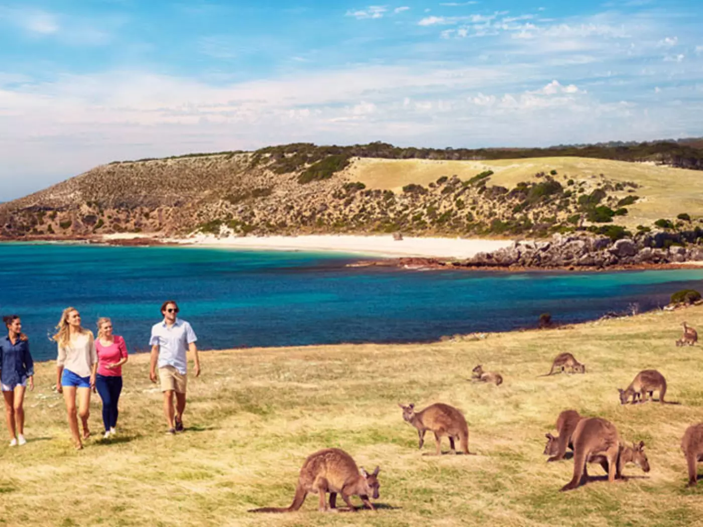 Get up close and personal with the amazing kangaroos on Kangaroo Island