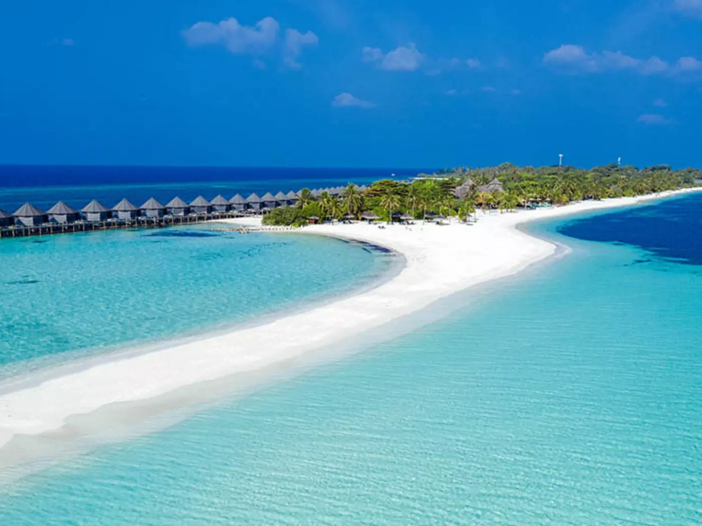 Kuredu Island Resort's stunning beach front is full of abundant marine life
