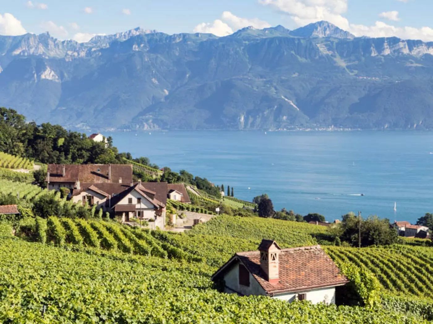 Lausanne is surrounded by vineyard-covered slopes, with Lake Geneva at its feet