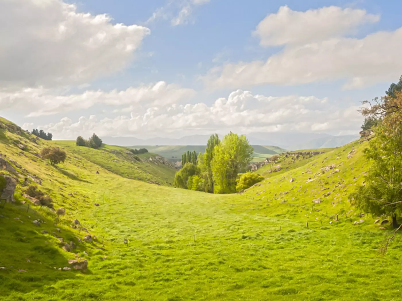 Little Valley, Hobbiton