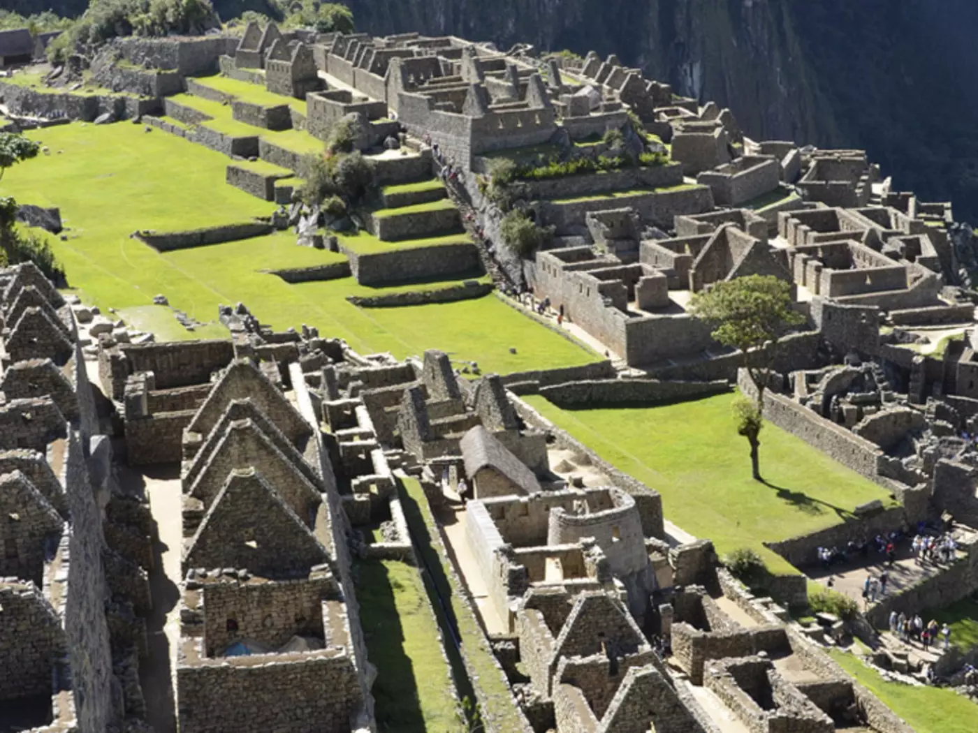 Citadel of Machu Picchu