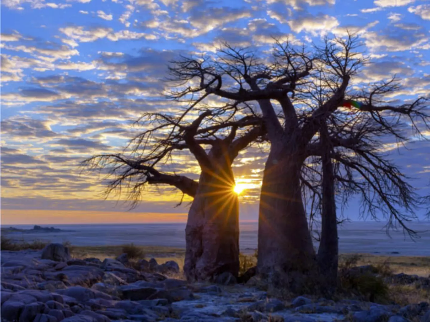 Makgadikgadi Pans With an area of 3 900 sq. kms, Makgadikgadi Pans is one of the largest salt flats in the world