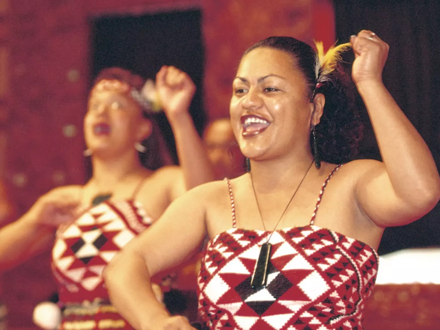 Take in a Maori cultural performance