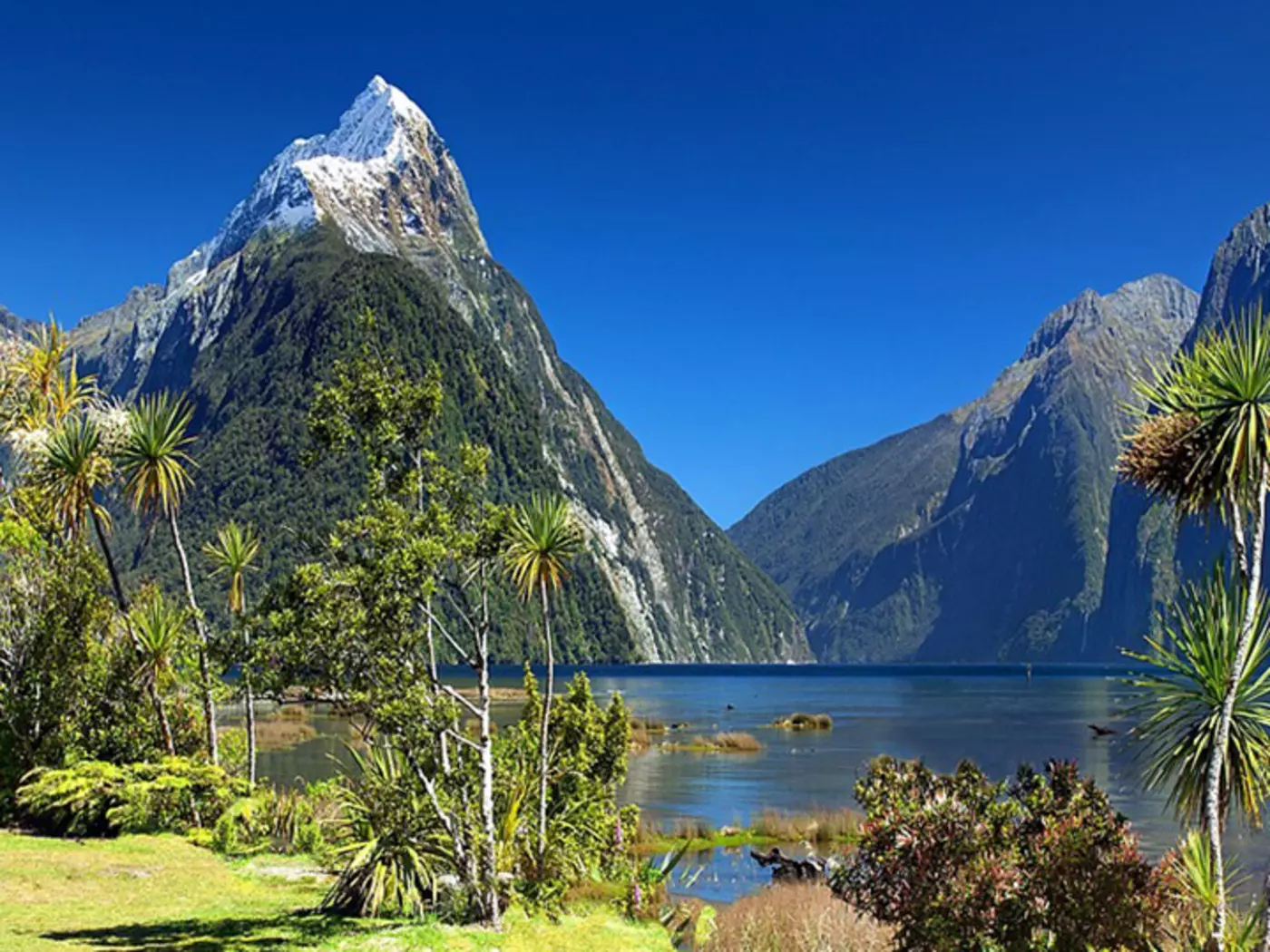 Fiordland is home to some of New Zealand’s most dramatic and beautiful scenery