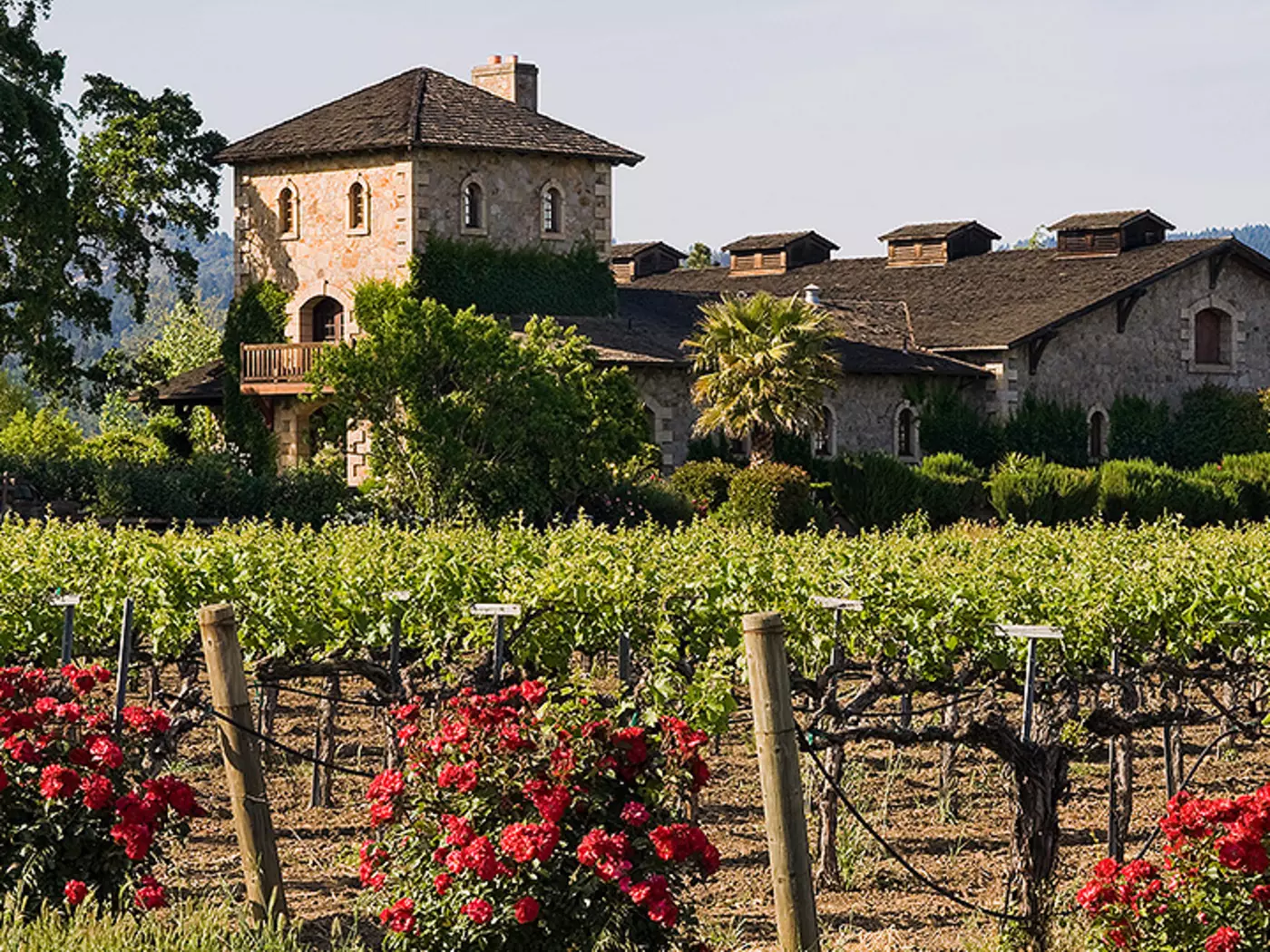 The Napa Valley is regarded as one of the world's premier wine producing regions