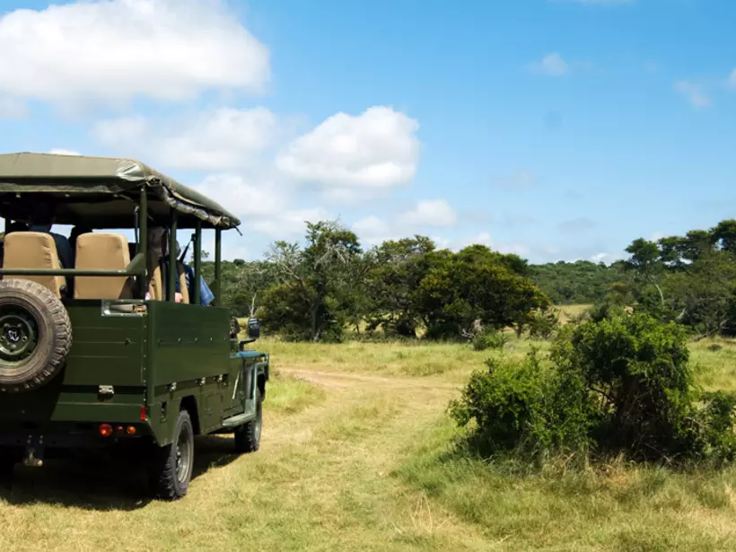 On safari near Kasane - always a great photo opportunity on your Botswana safari.