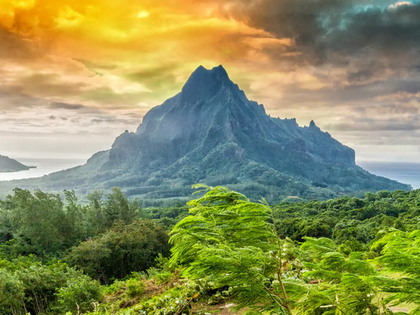 Opunohu Bay, Moorea