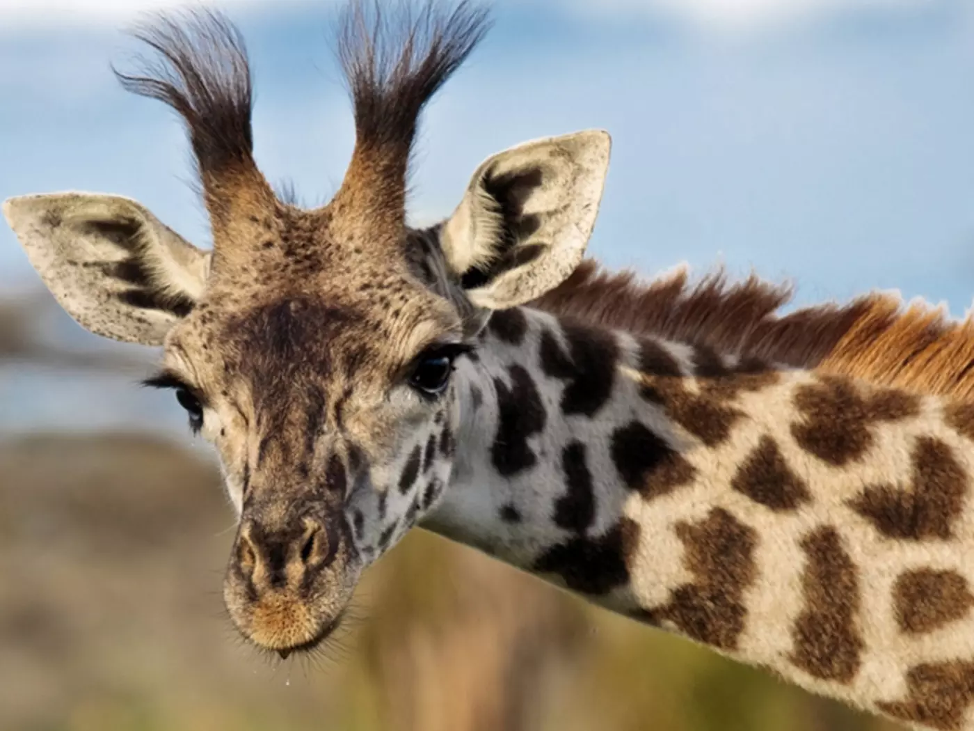 Serengeti National Park