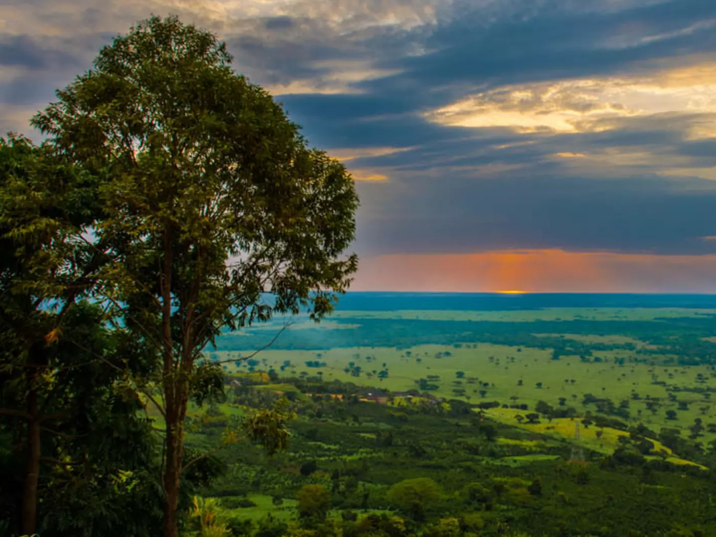 Founded in 1952, Queen Elizabeth National Park is home to 95 mammal species
