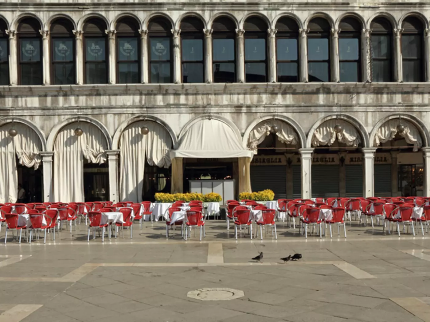 Quiet Piazza San Marco - cafes of Venice
