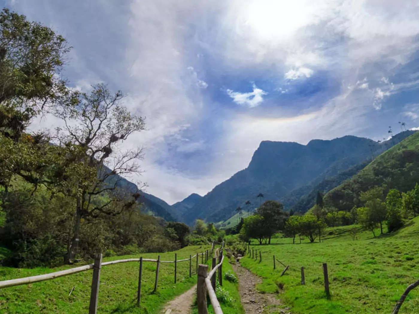 Quindio Coffee Region