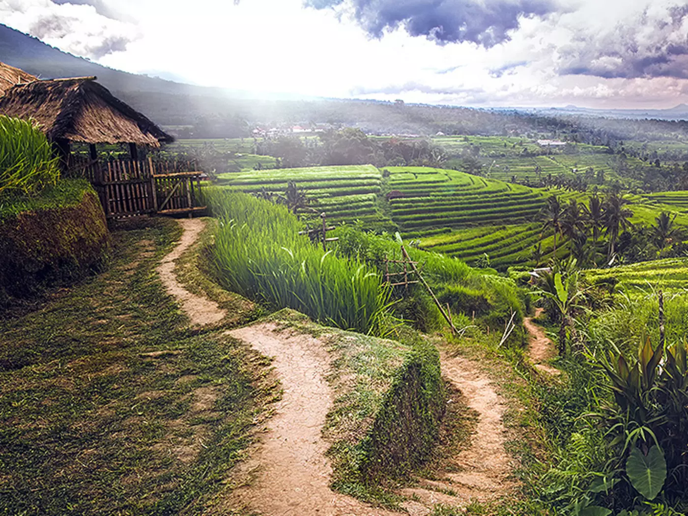 Ubud, surrounded by rainforest and terraced rice fields is a centre for traditional crafts