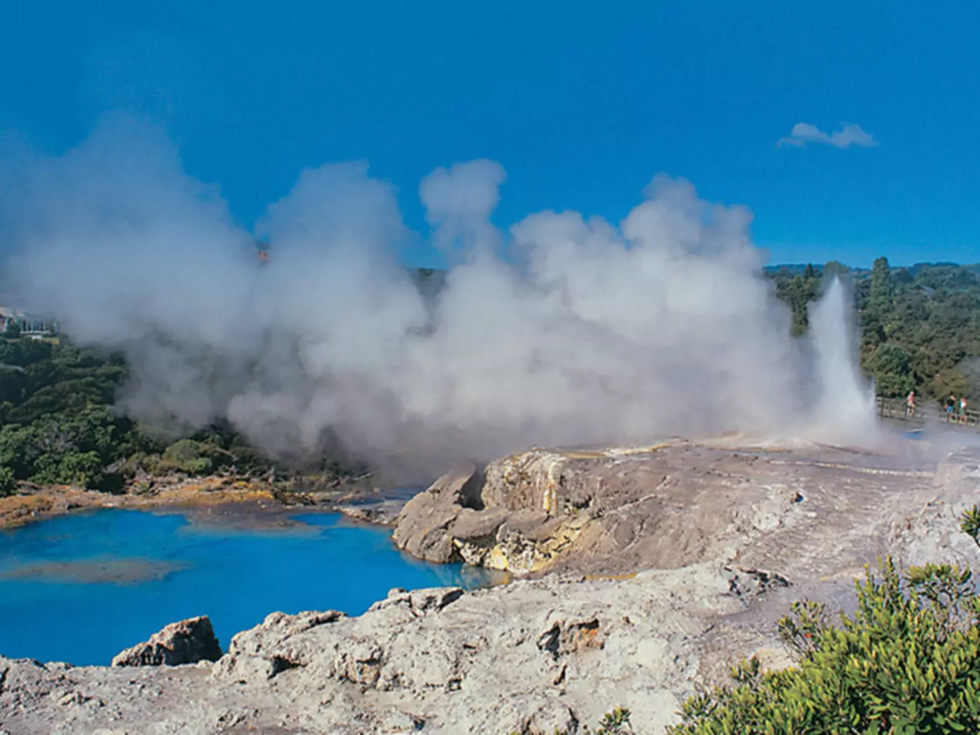 Geothermal activity in Rotorua