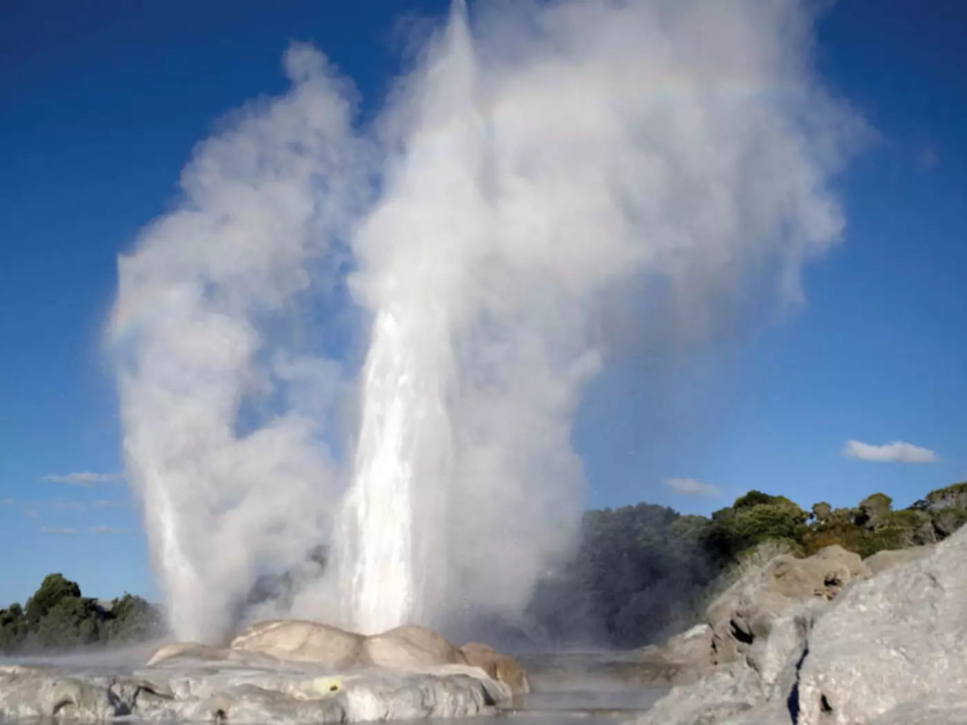 Pōhutu Geyser, Rotorua Experience New Zealand's geothermal activity at Rotorua