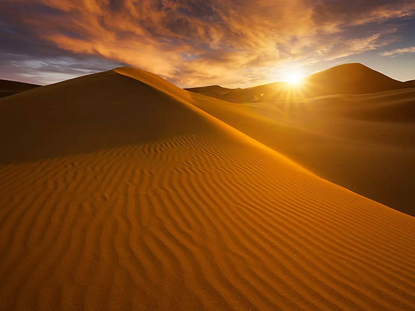 The Sahara Desert covers 40% of Tunisia's land area