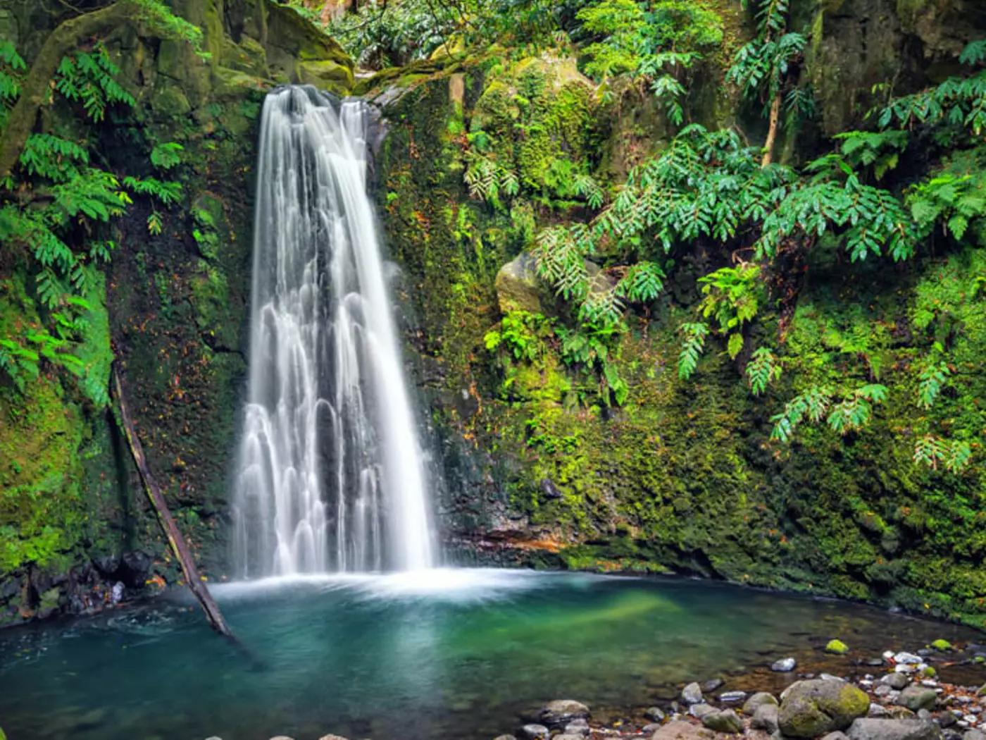 On the eastern edge of Sao Miguel, Salto do Prego Waterfall is in a natural rainforest