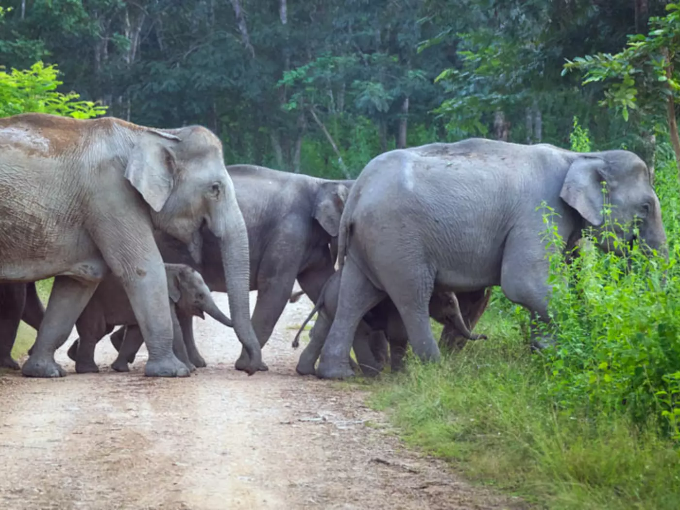 Kui Buri National Park