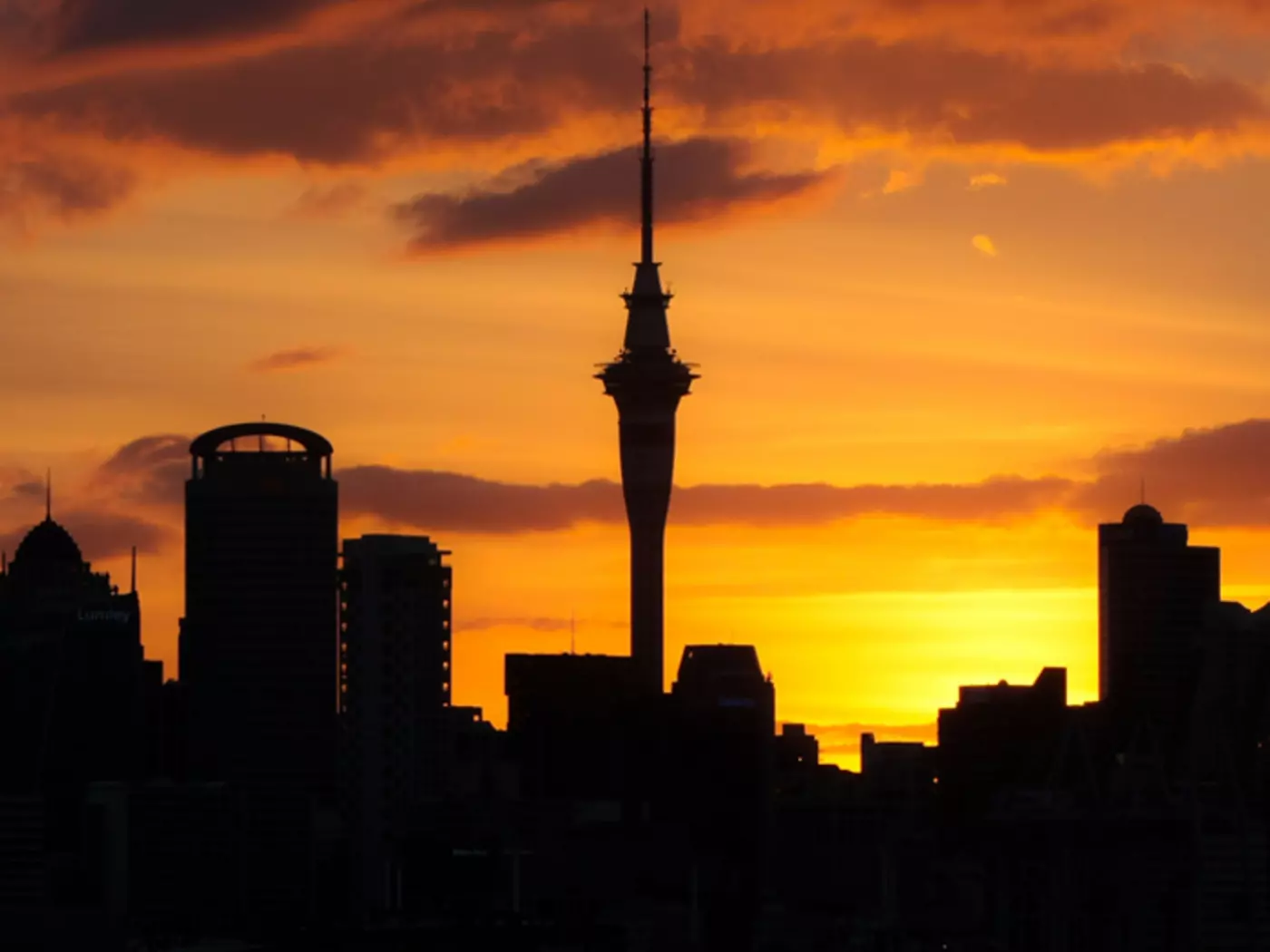 Silhouette of Auckland City at sunset