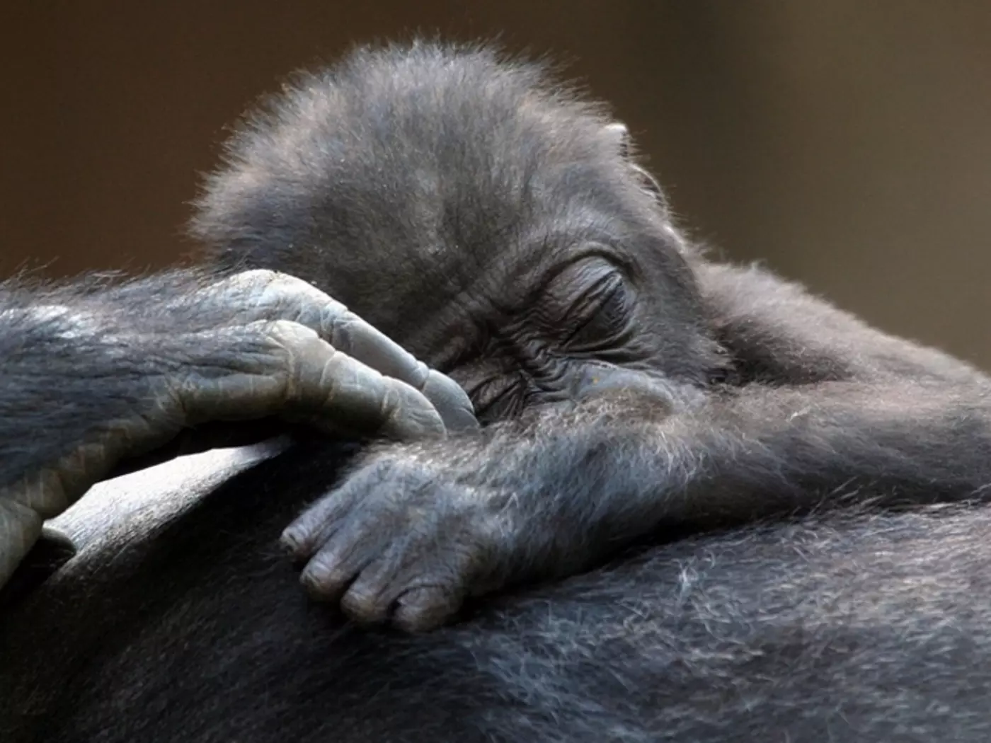 Sleep time...
