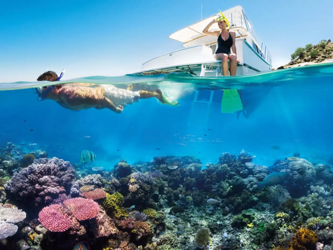 Home to diverse marine life, the Great Barrier Reef is the largest coral reef system in the world