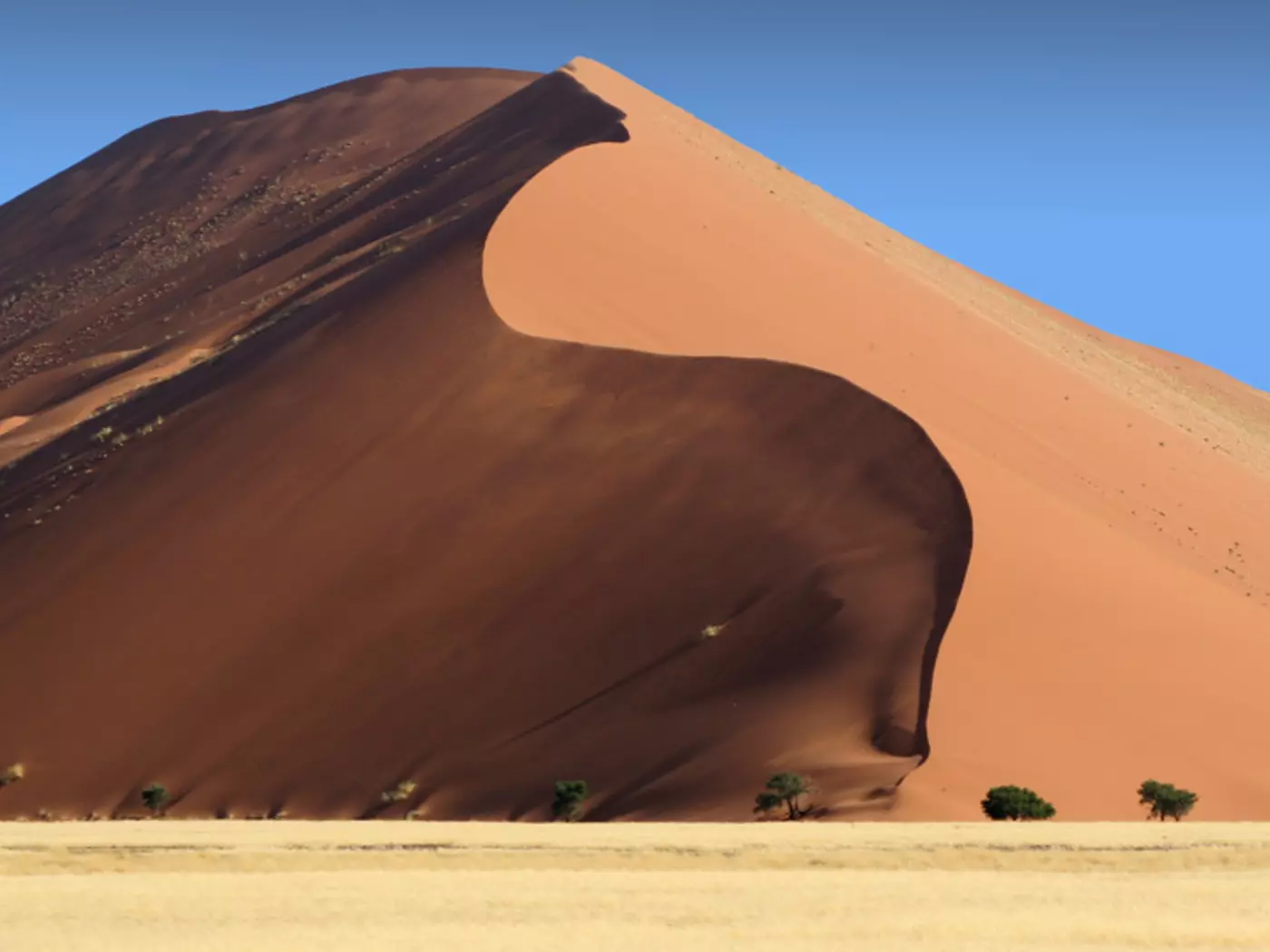 Sossusvlei Dunes