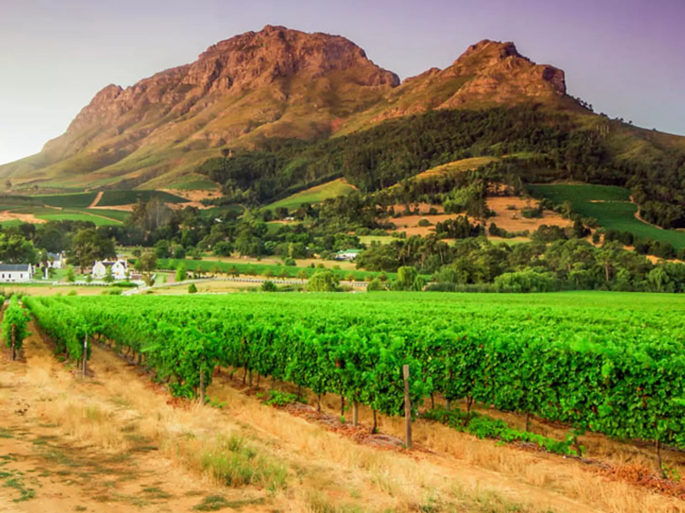 Stellenbosch