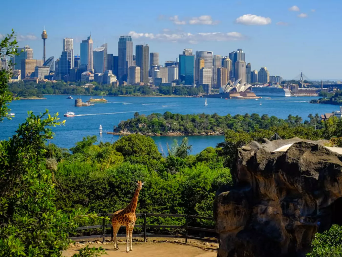 Taronga Zoo is home to more than 5,000 animals