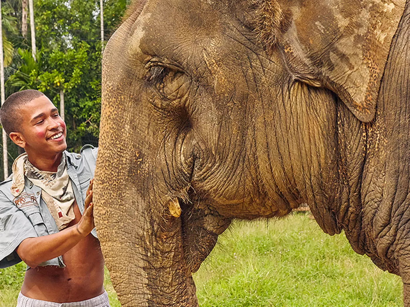 Representing strength, loyalty and longevity, elephants are the national animal of Thailand