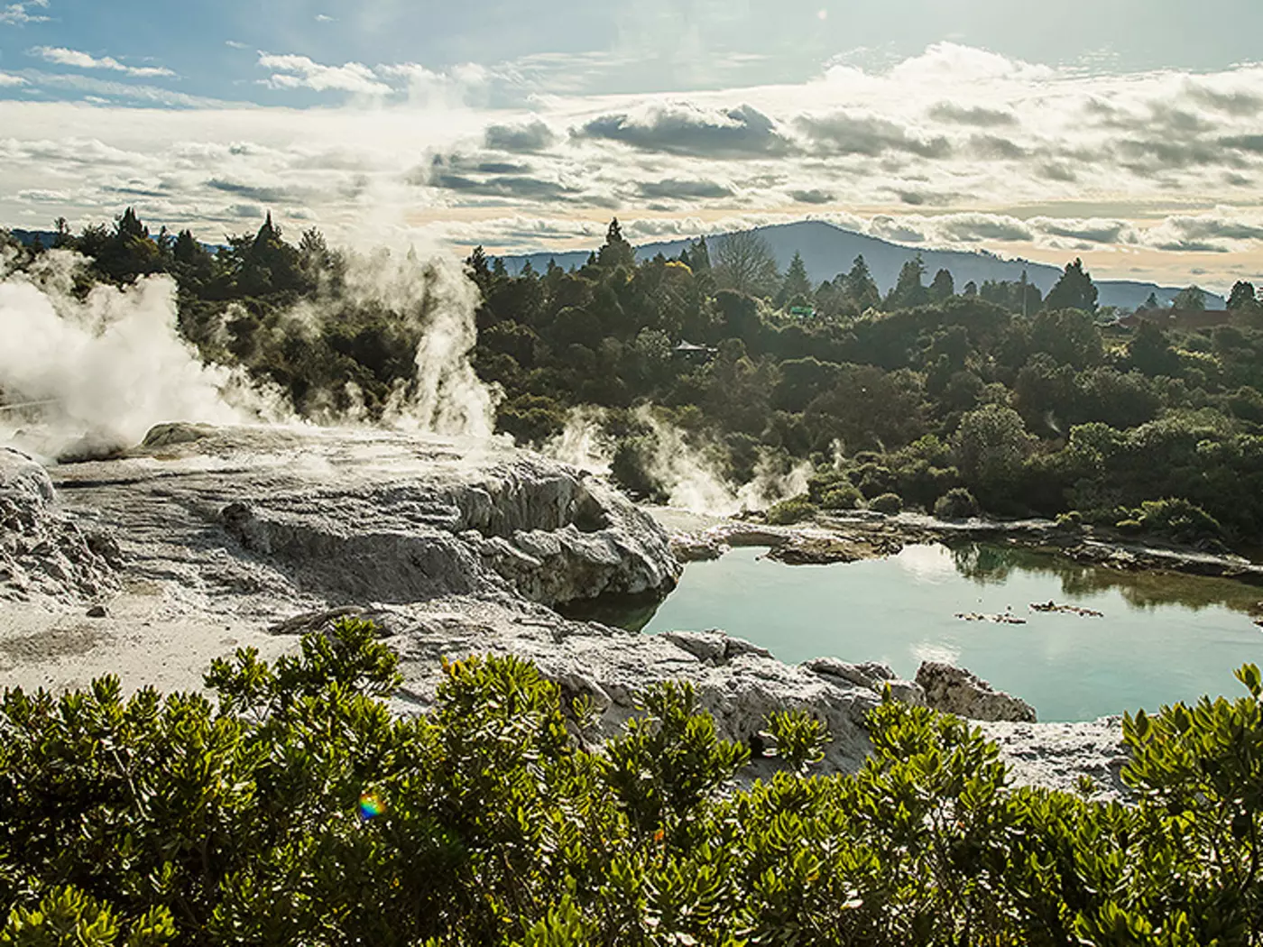 Te Piua National Park, Rotorua