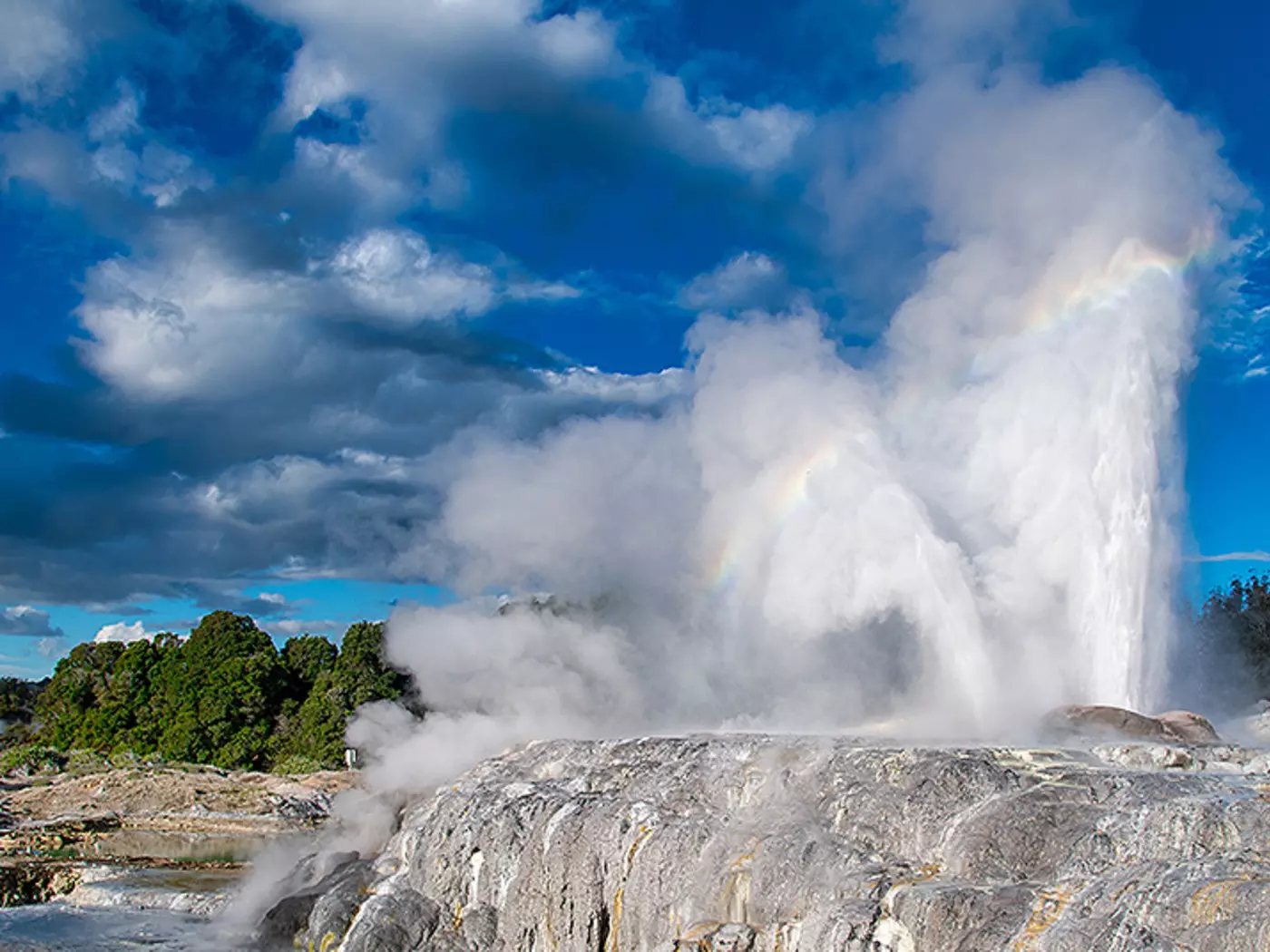 Featuring dramatic geysers and bubbling mud pools. Te Puia is the centre of New Zealand's geothermal wonderland