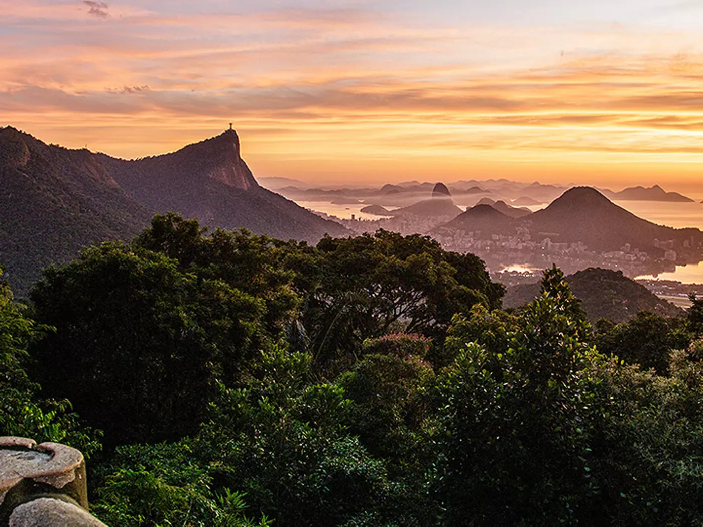 Tijuca Forest