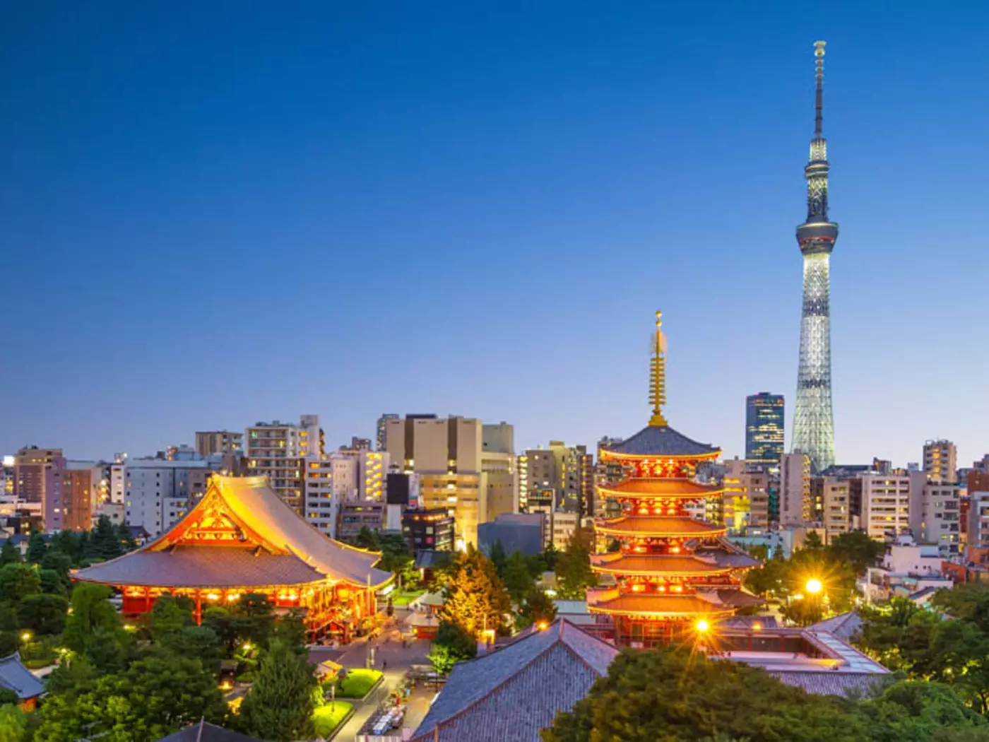 Tokyo, the Japanese capital is one of the world's largest cities