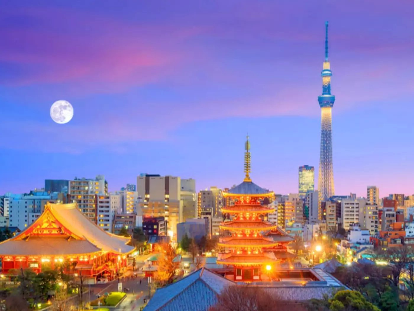 Tokyo offers an unlimited choice of shopping, entertainment, culture and dining to its visitors
