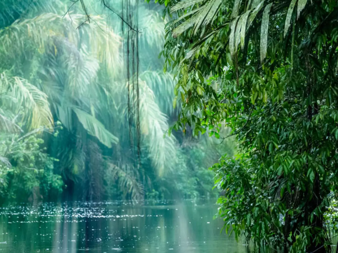 Tortuguero National Park