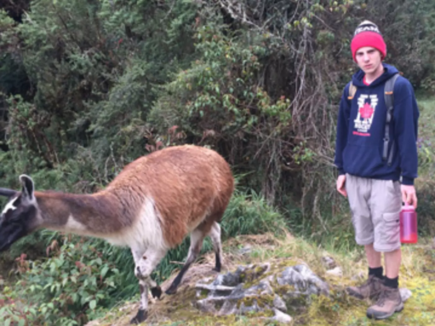 On the Inca Trail