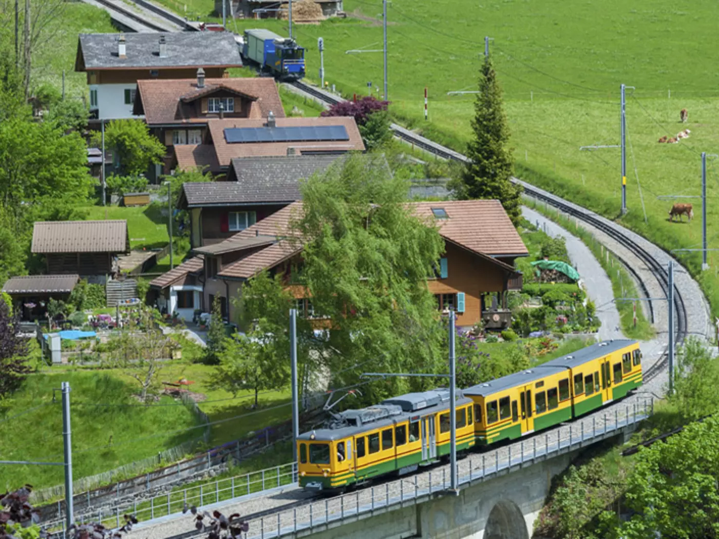 Train in Lauterbrunnen Valley