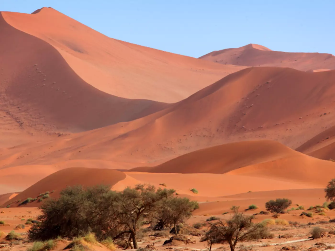 Sossusvlei sand dunes