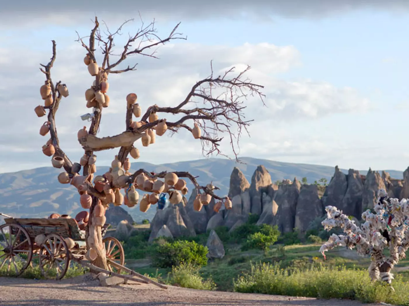 Wishing Trees have a long history in Turkish folklore and in rural areas people still tie tokens with wishes and reflections